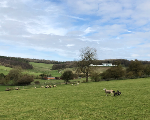 Hailey and the Chiltern Hills (South)