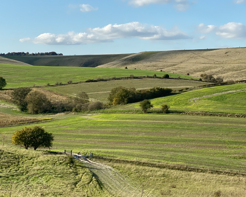 Letcombe Regis and Ridgeway