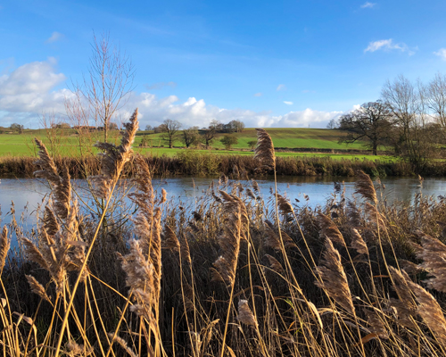 Radley and the Thames Path