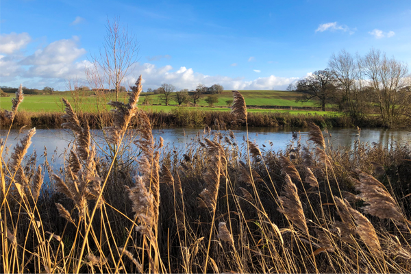 The River Thames near Radley