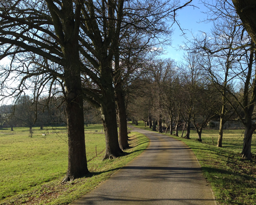 Oxford's Shotover Country Park