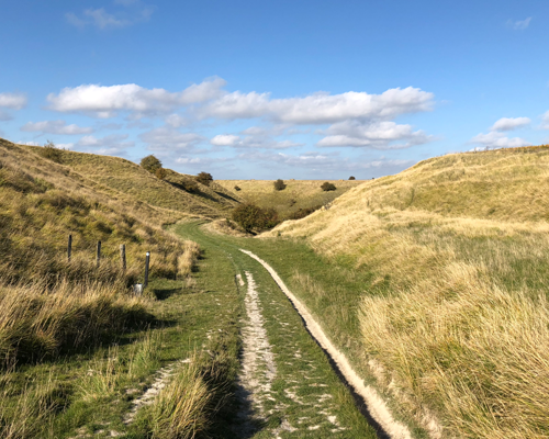 Bishopstone and Ridgeway